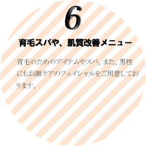 育毛のためのアイテムやスパ。また、男性にもお顔ケアのフェイシャルをご用意しております。